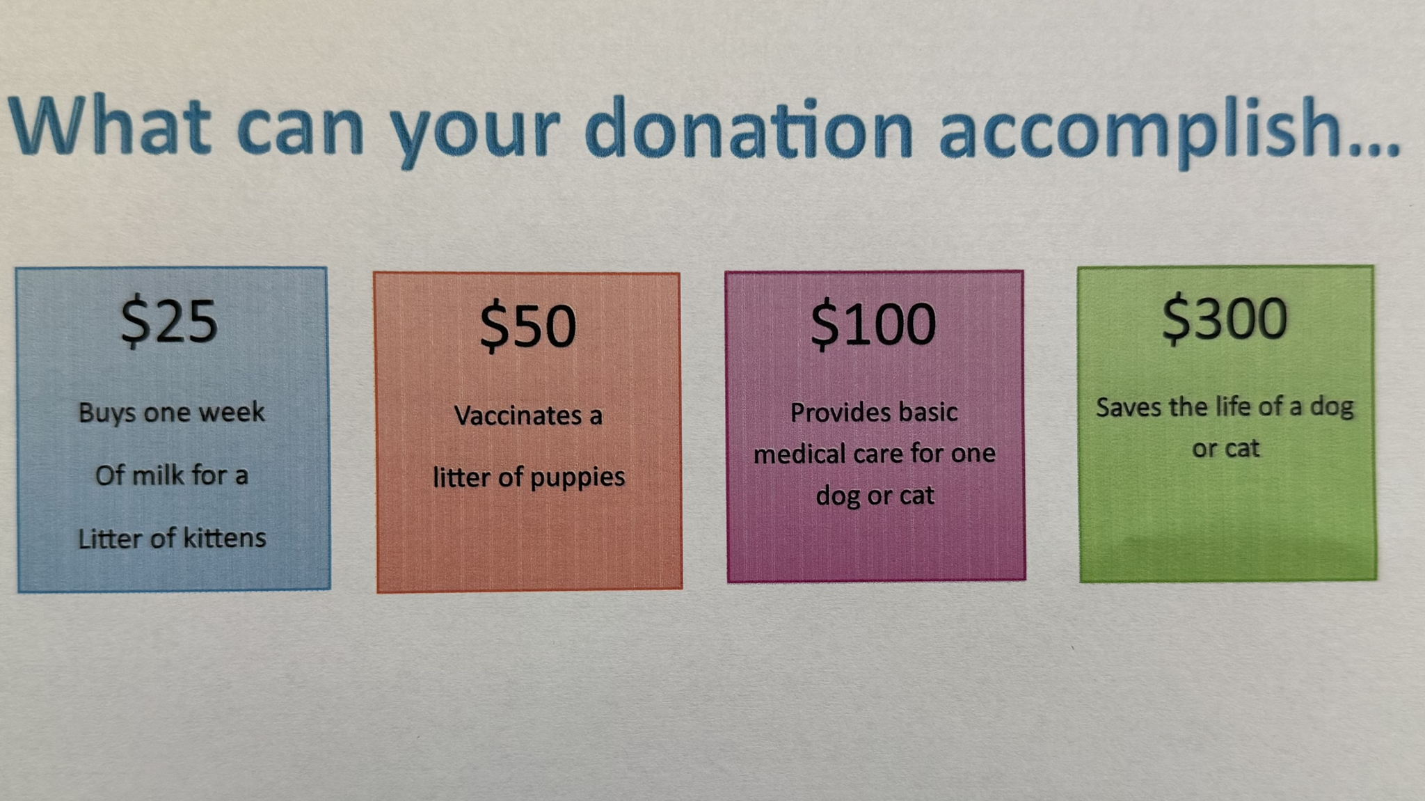 Fundraiser image