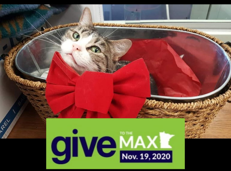 Fundraiser image