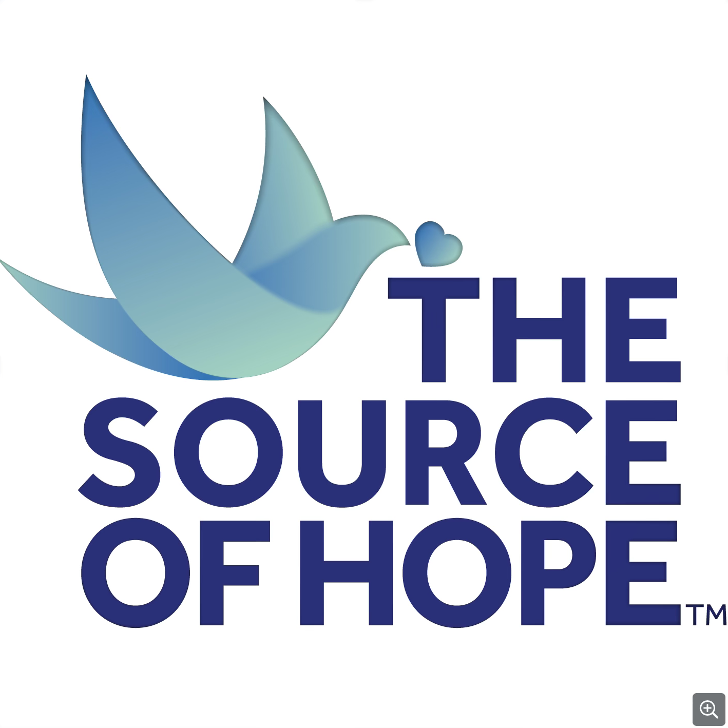 The Source of Hope | North Texas Giving Day