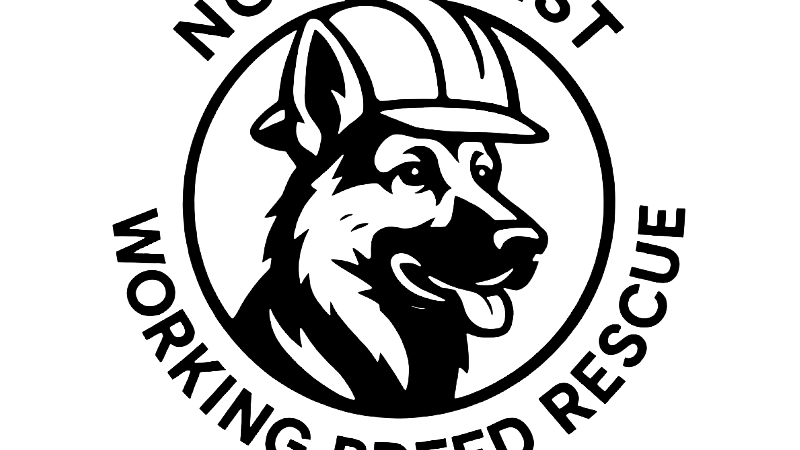 Fundraiser image
