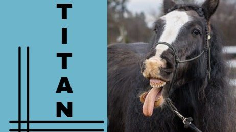 Tile Thumbnail