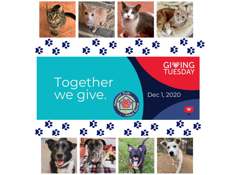 Fundraiser image
