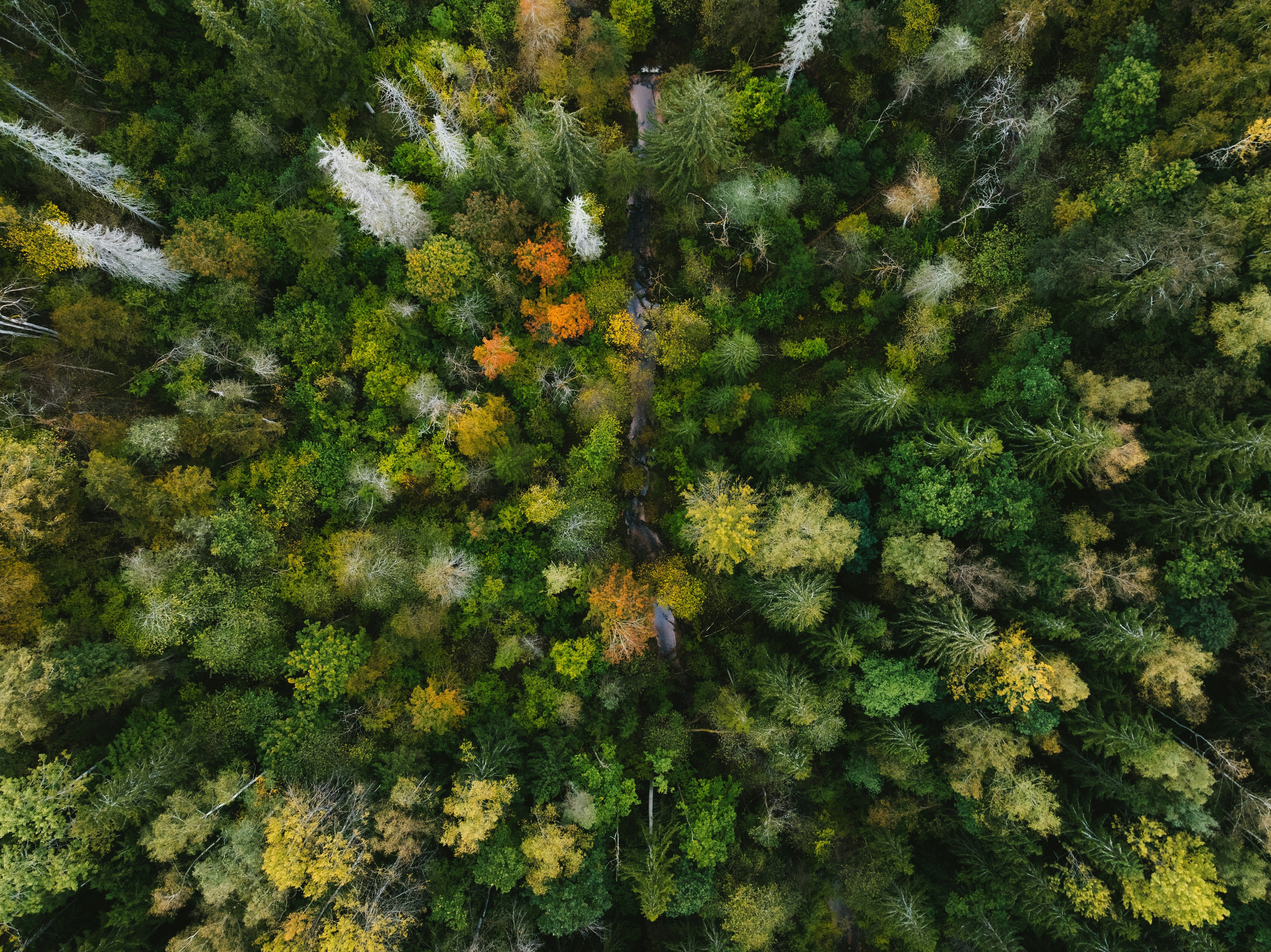 Block background image