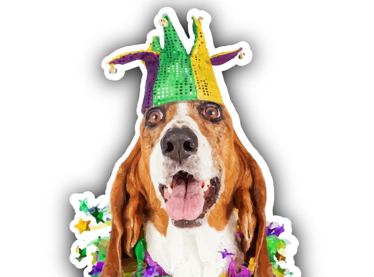 Fundraiser image