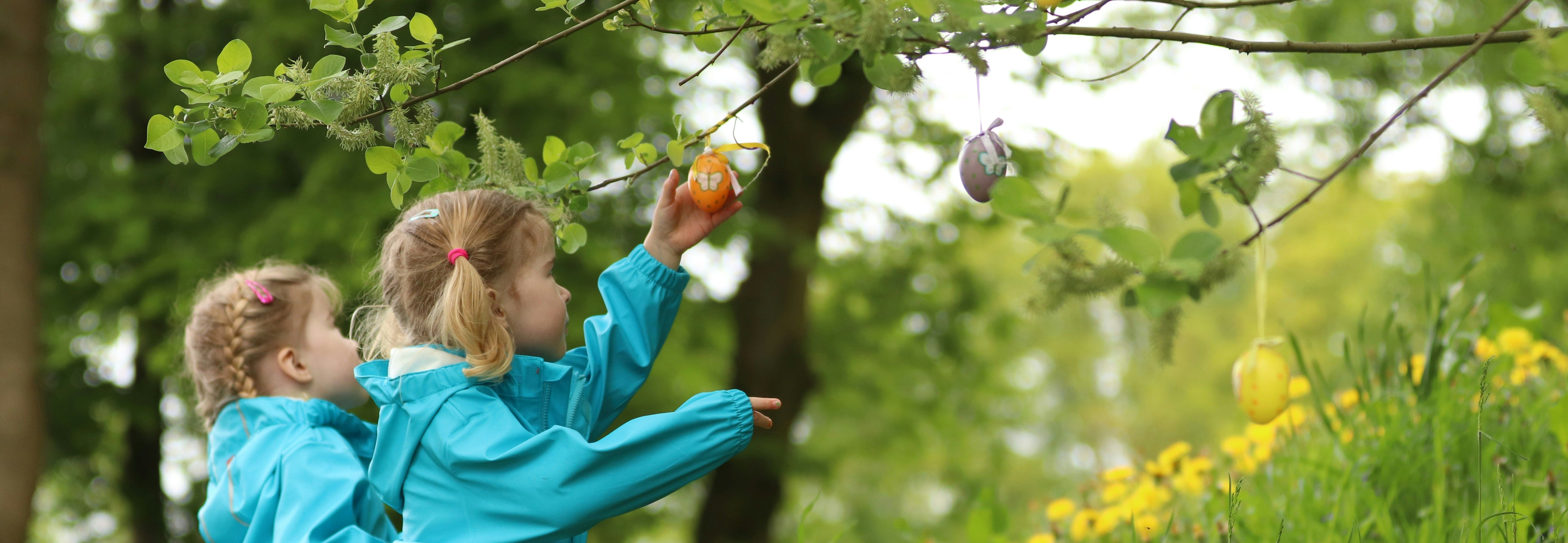 Block background image