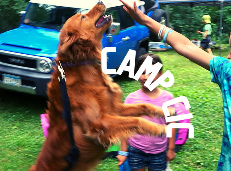 Fundraiser image