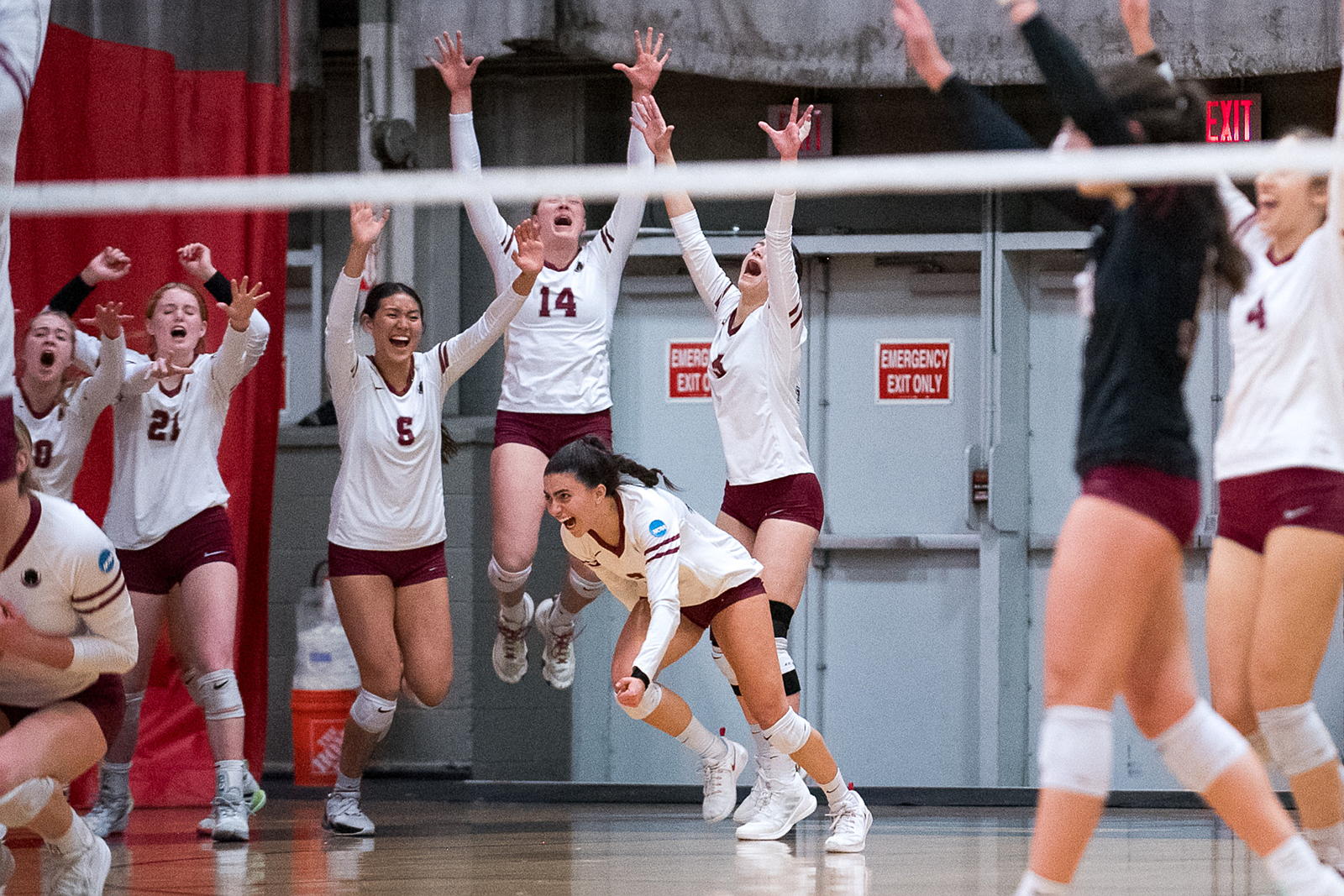 Women's Volleyball players cheer