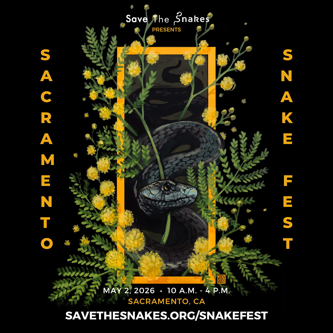 SnakeFest 2026