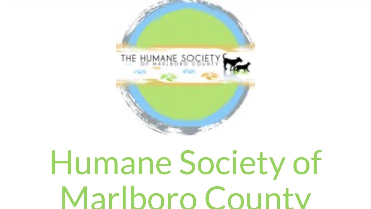 Fundraiser image
