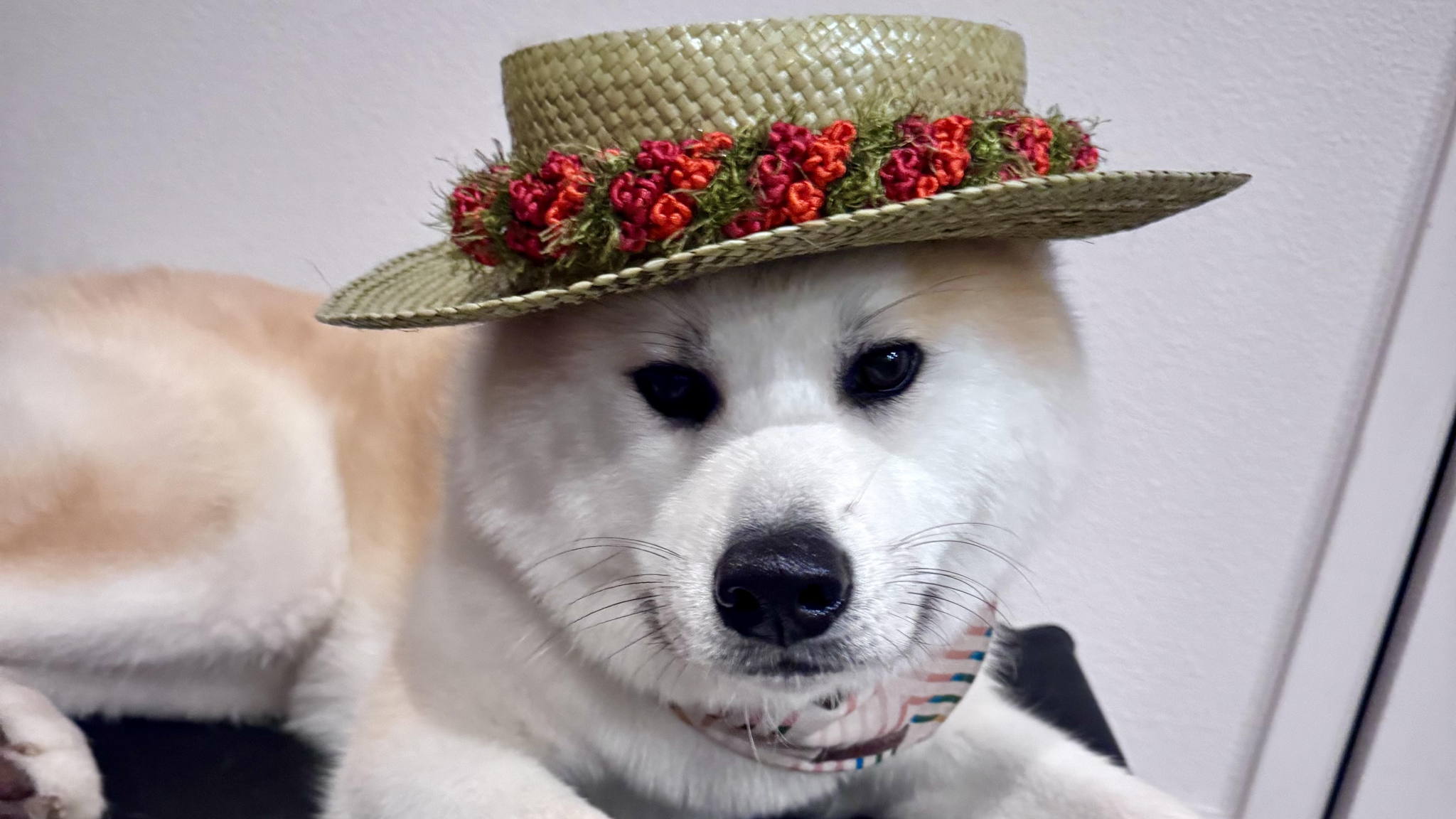 Fundraiser image
