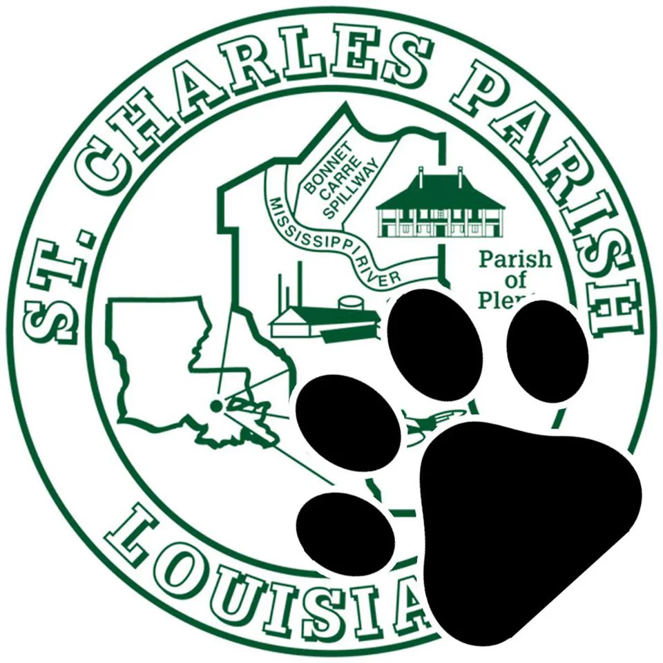 event logo