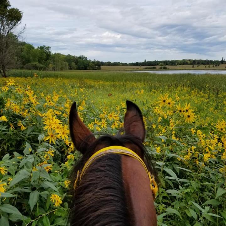 Minnesota Trail Riders Association | GiveMN