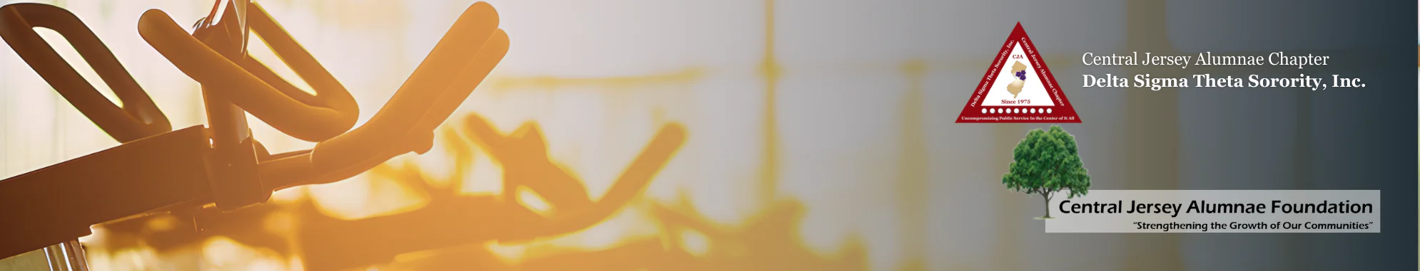 Tile background Image