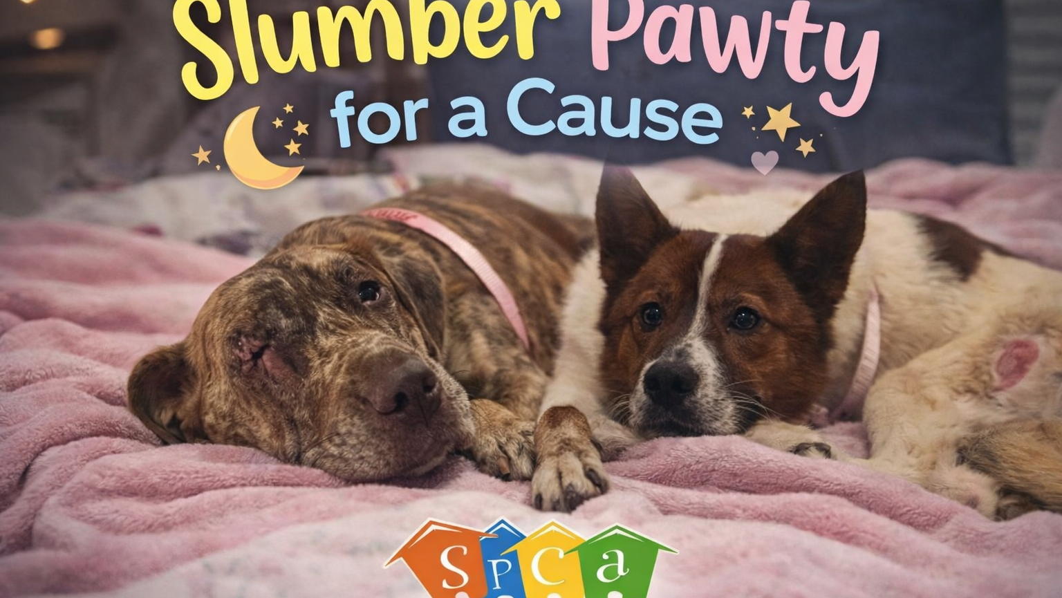Fundraiser image