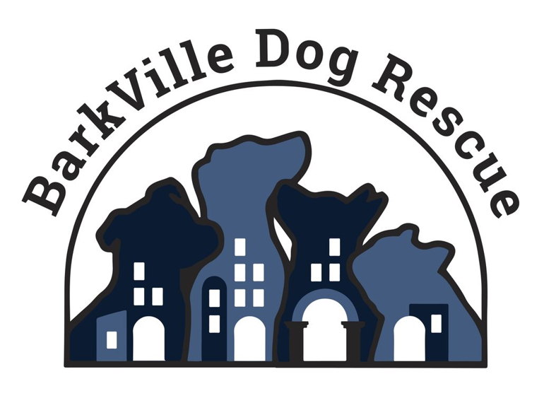 Fundraiser image