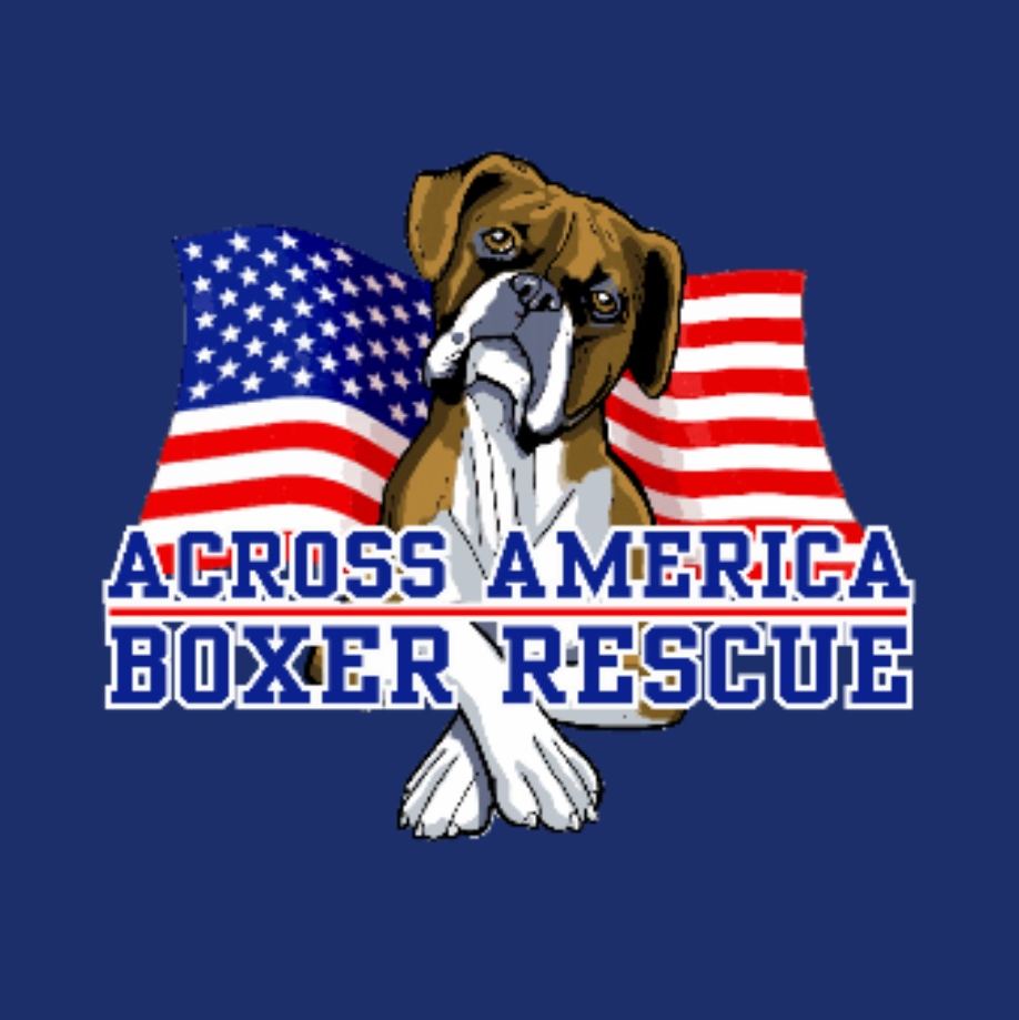 Across America Boxer Rescue | GiveMN