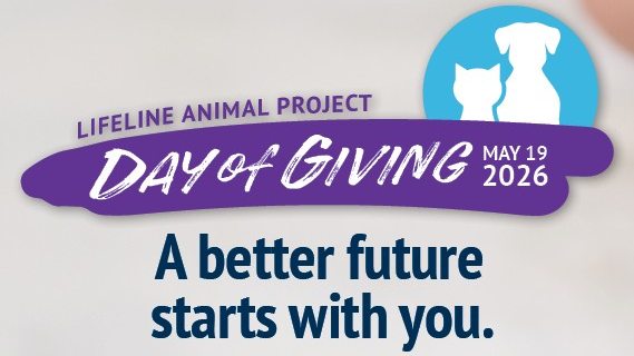 Fundraiser image