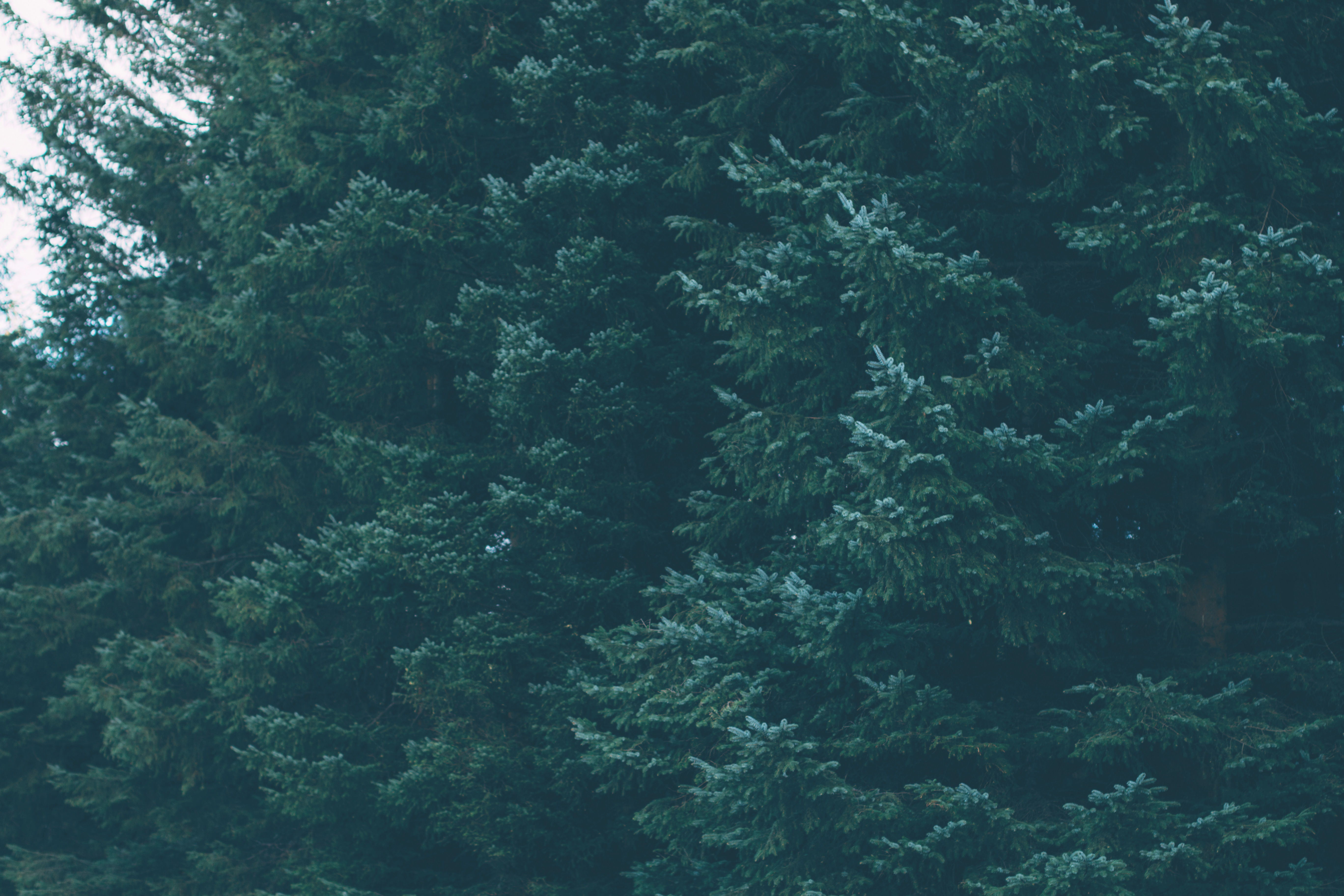 Tile background Image