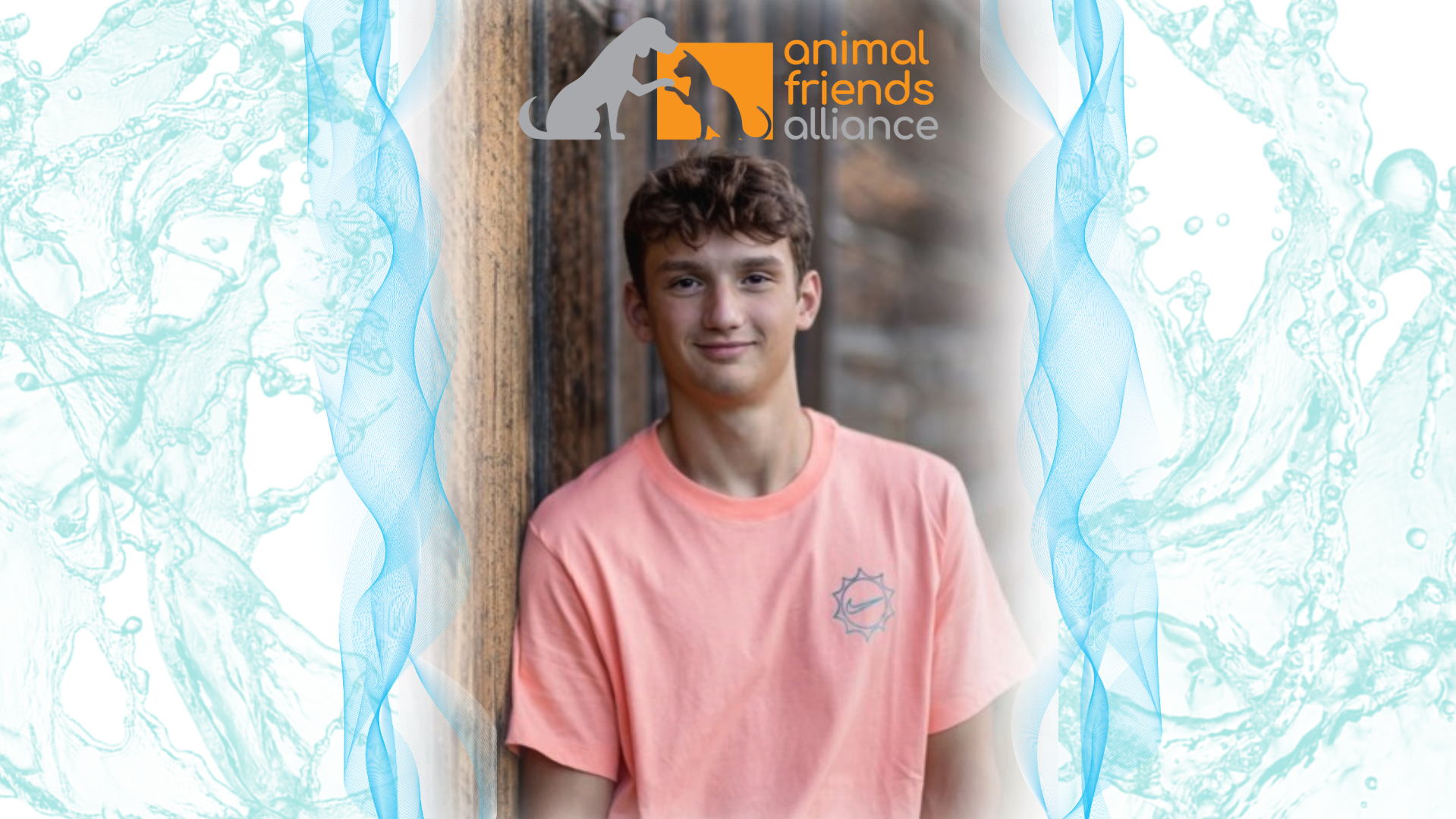 Animal friends alliance coloradogives