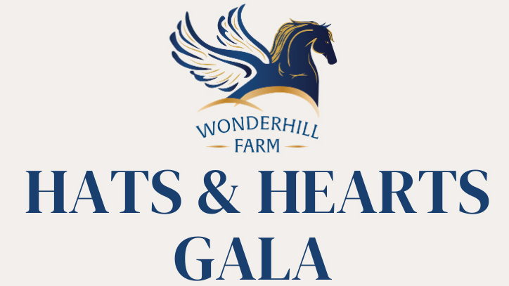 Fundraiser image
