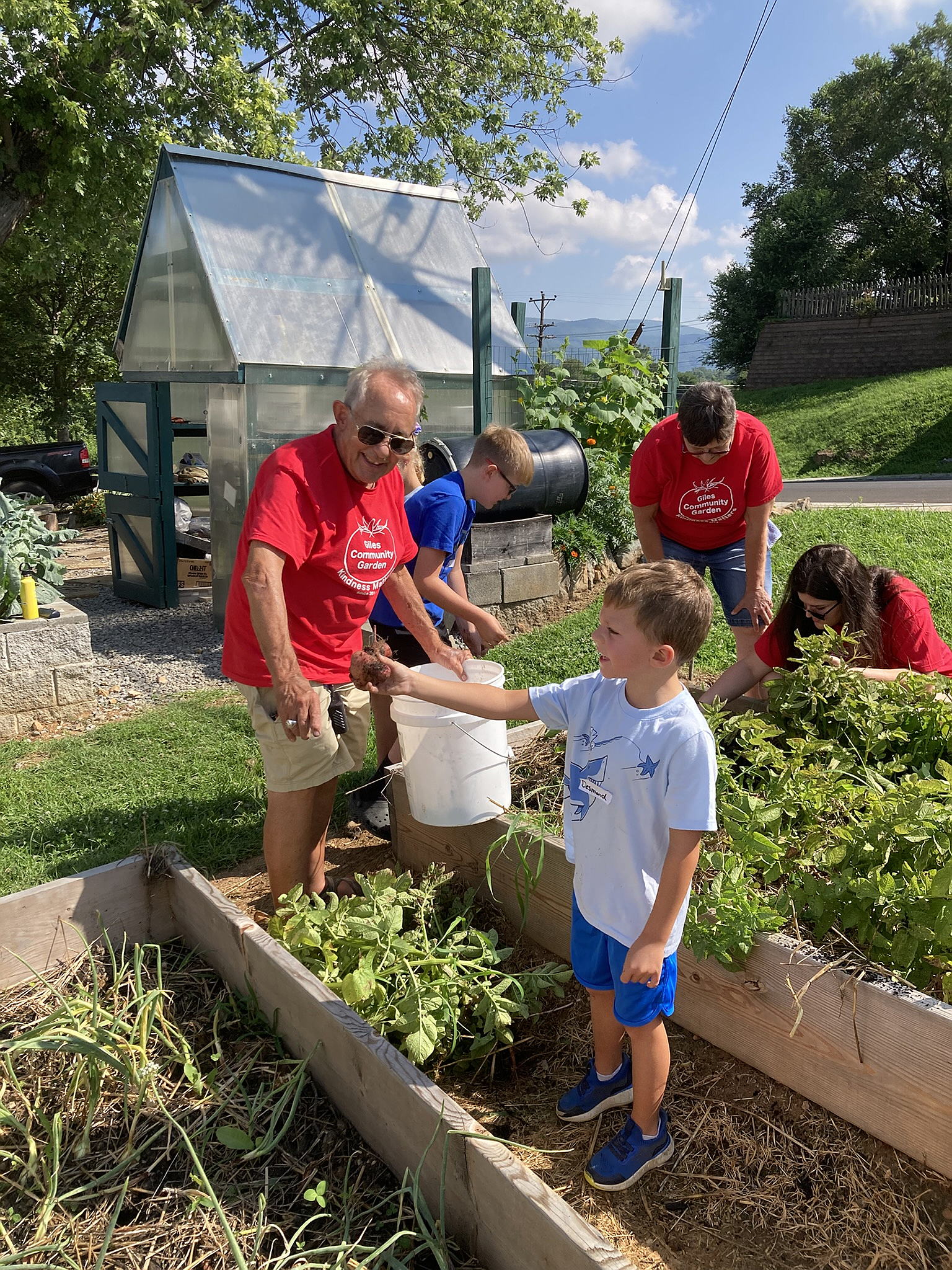 Adults and children work in raised beds in the garden