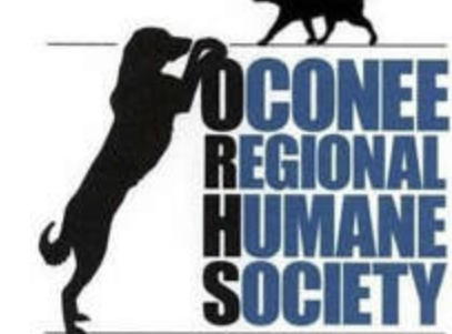 Fundraiser image