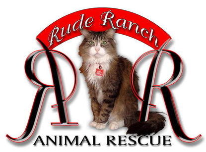 Fundraiser image