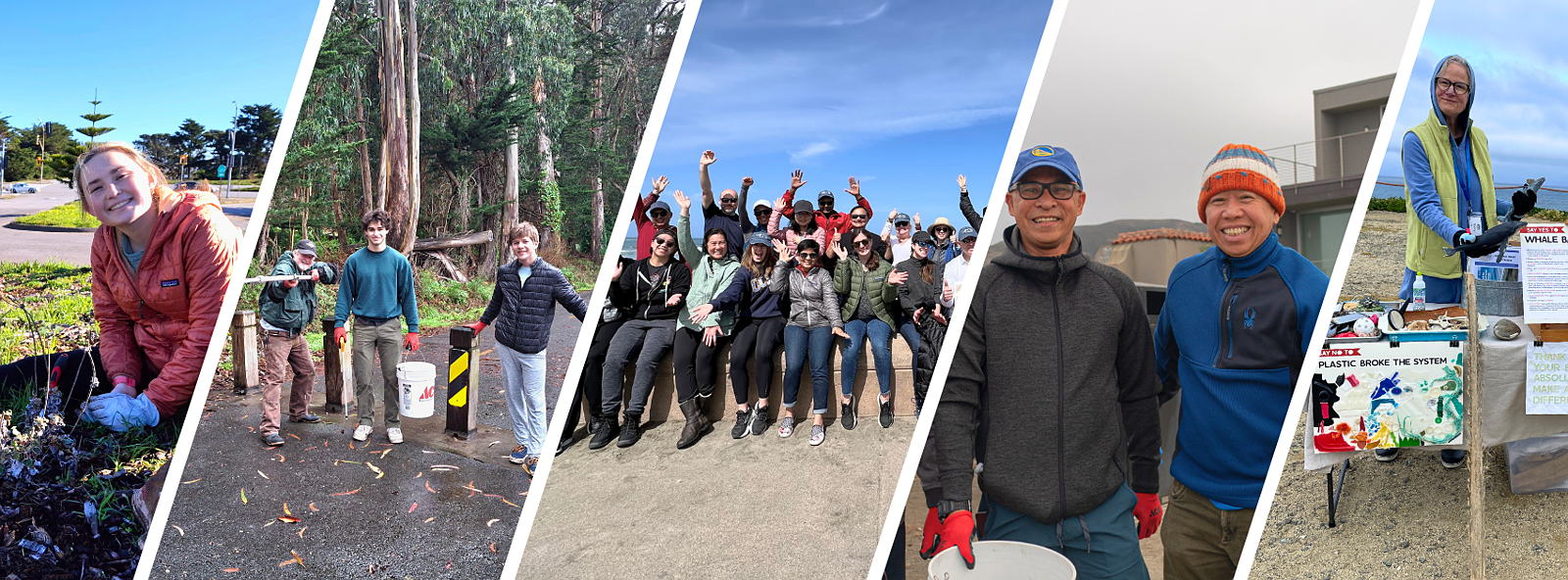 A collage of photos showcasing smiling volunteers of all ages