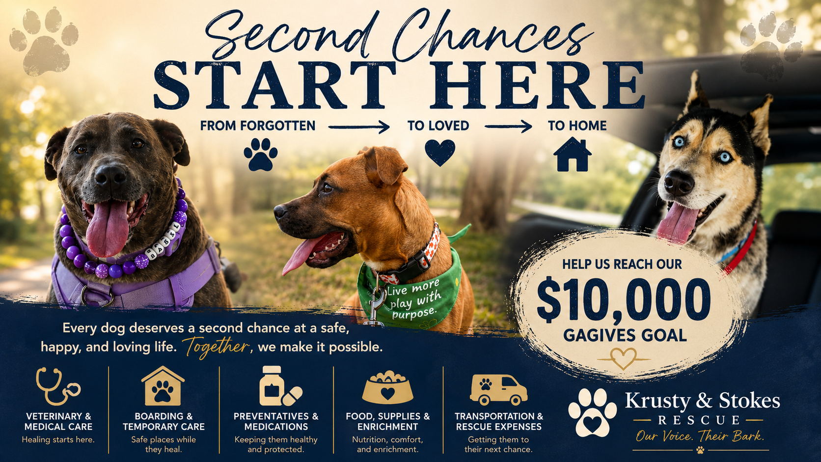 Fundraiser image