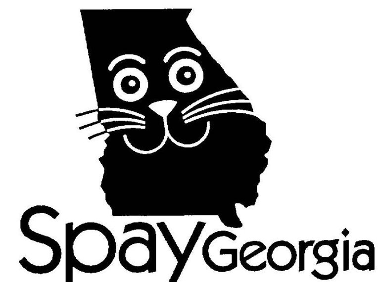 Fundraiser image