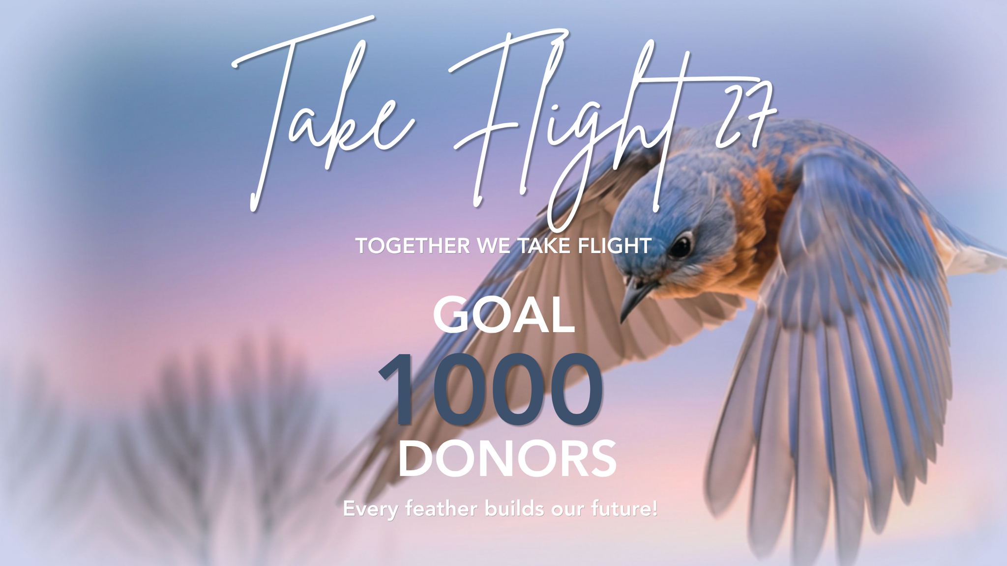 Fundraiser image