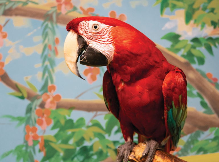 Fundraiser image