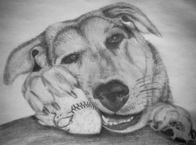 Fundraiser image