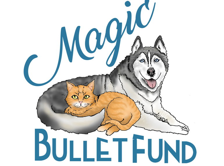 Fundraiser image