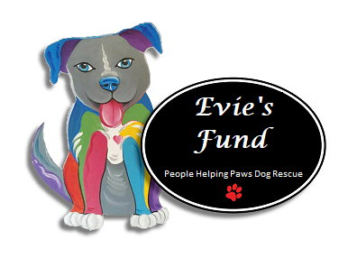 Fundraiser image