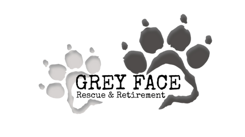 Fundraiser image