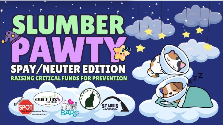 Fundraiser image
