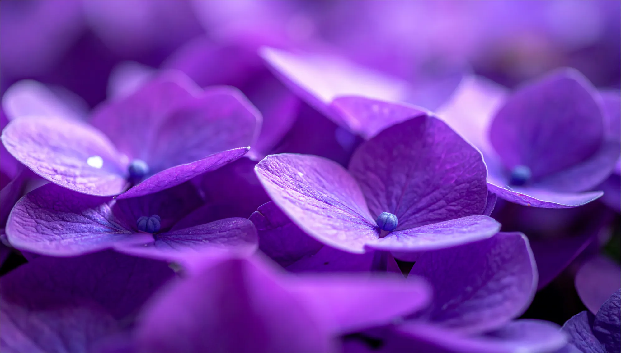 Block background image