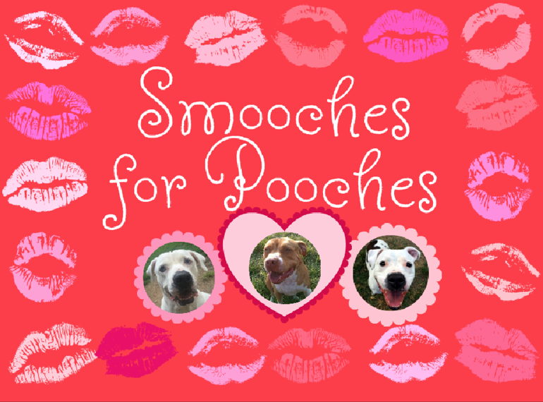 Fundraiser image