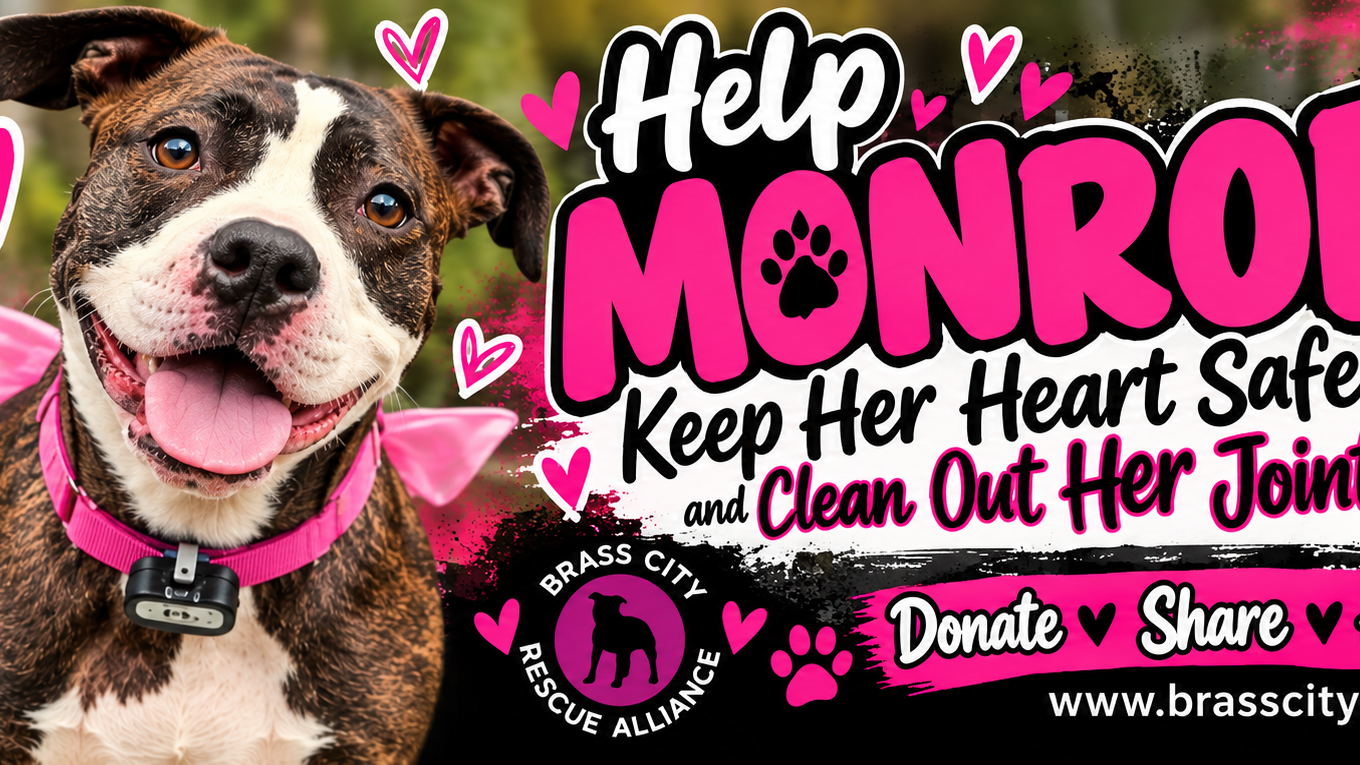 Fundraiser image