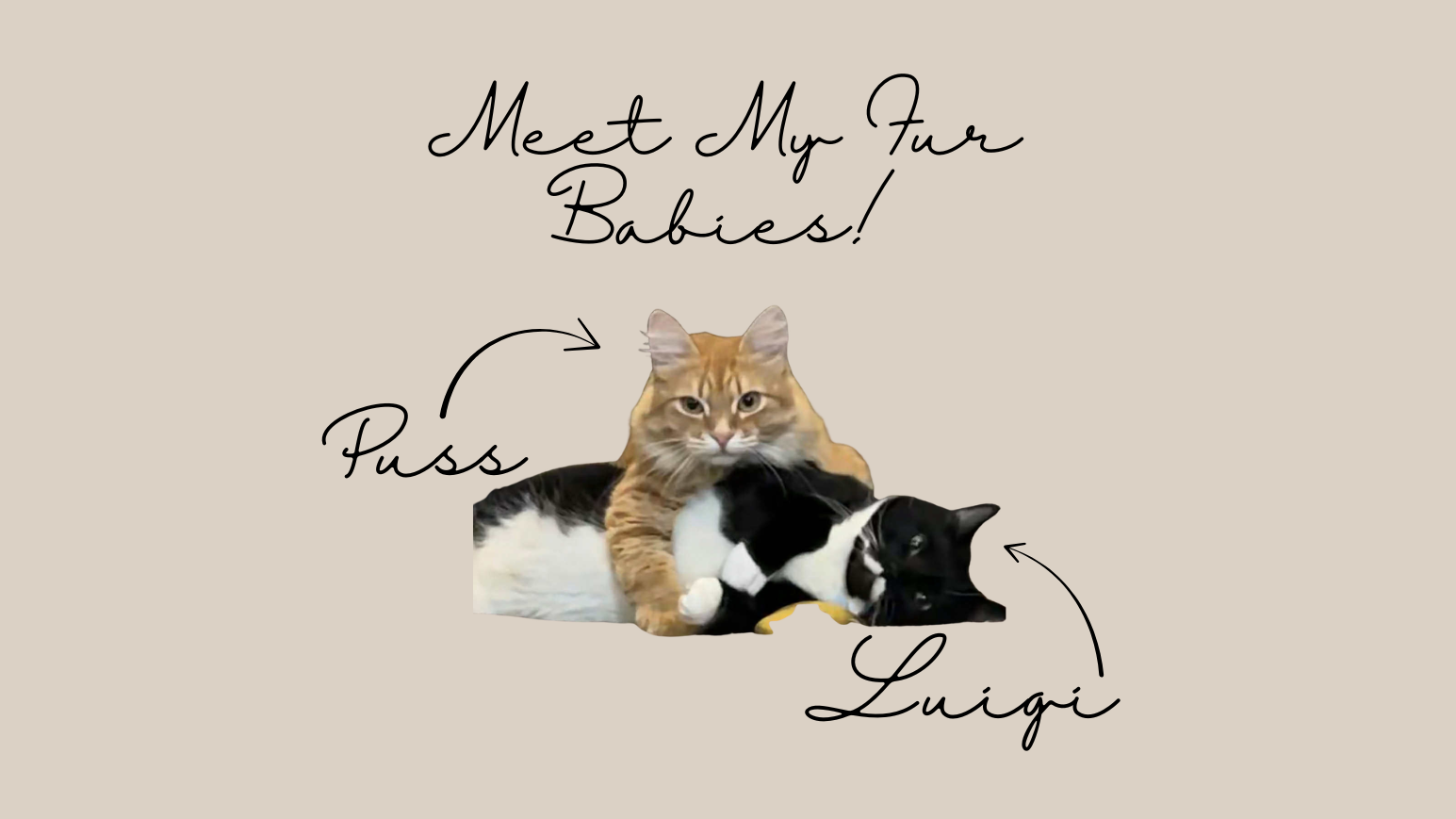Fundraiser image