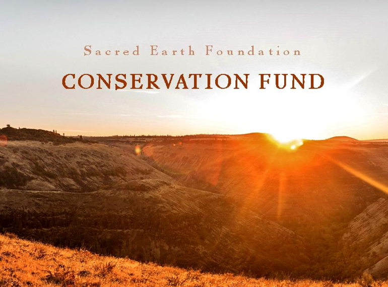 Fundraiser image