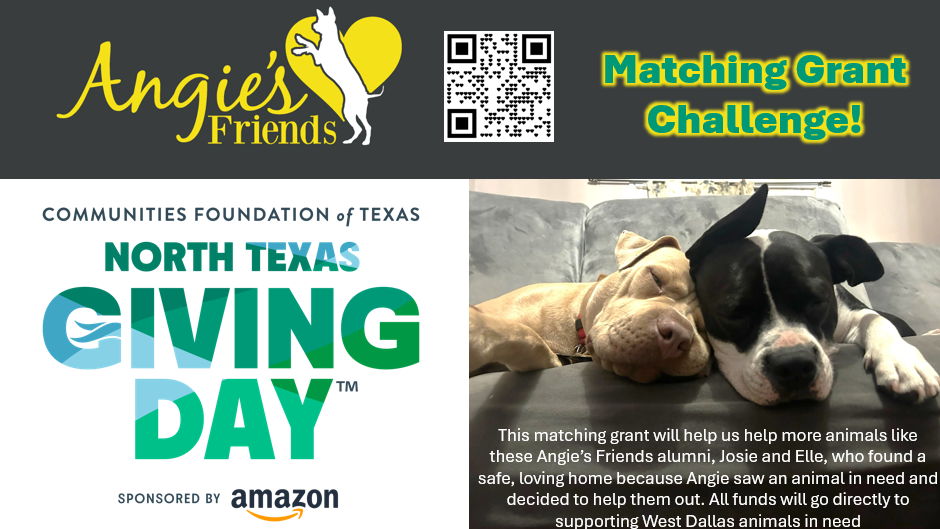 Fundraiser image