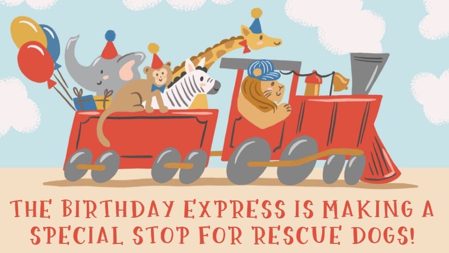 Fundraiser image