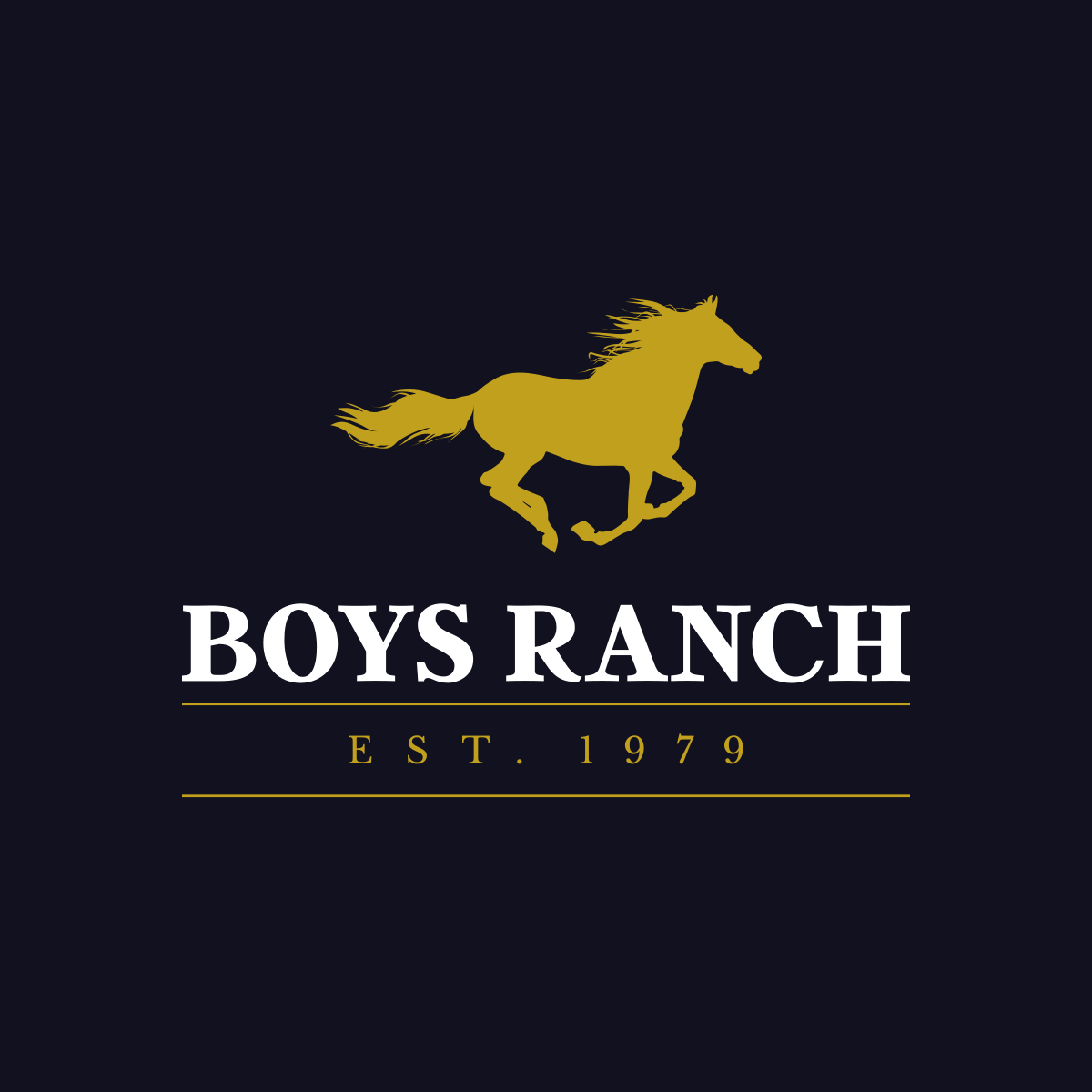 Lighthouse Ranch for Boys, Inc. | Mightycause