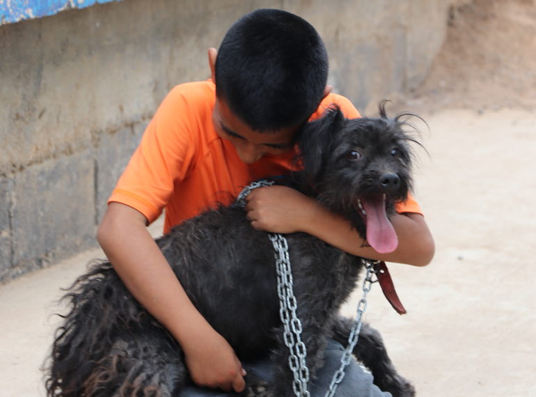 Fundraiser image