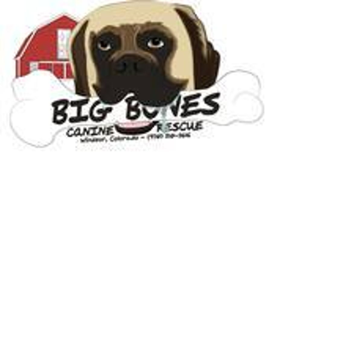 Big bones sale canine