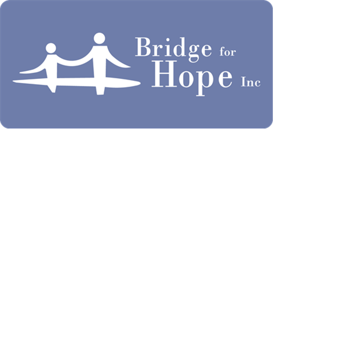 Bridge For Bridge Inc Give Miami Day