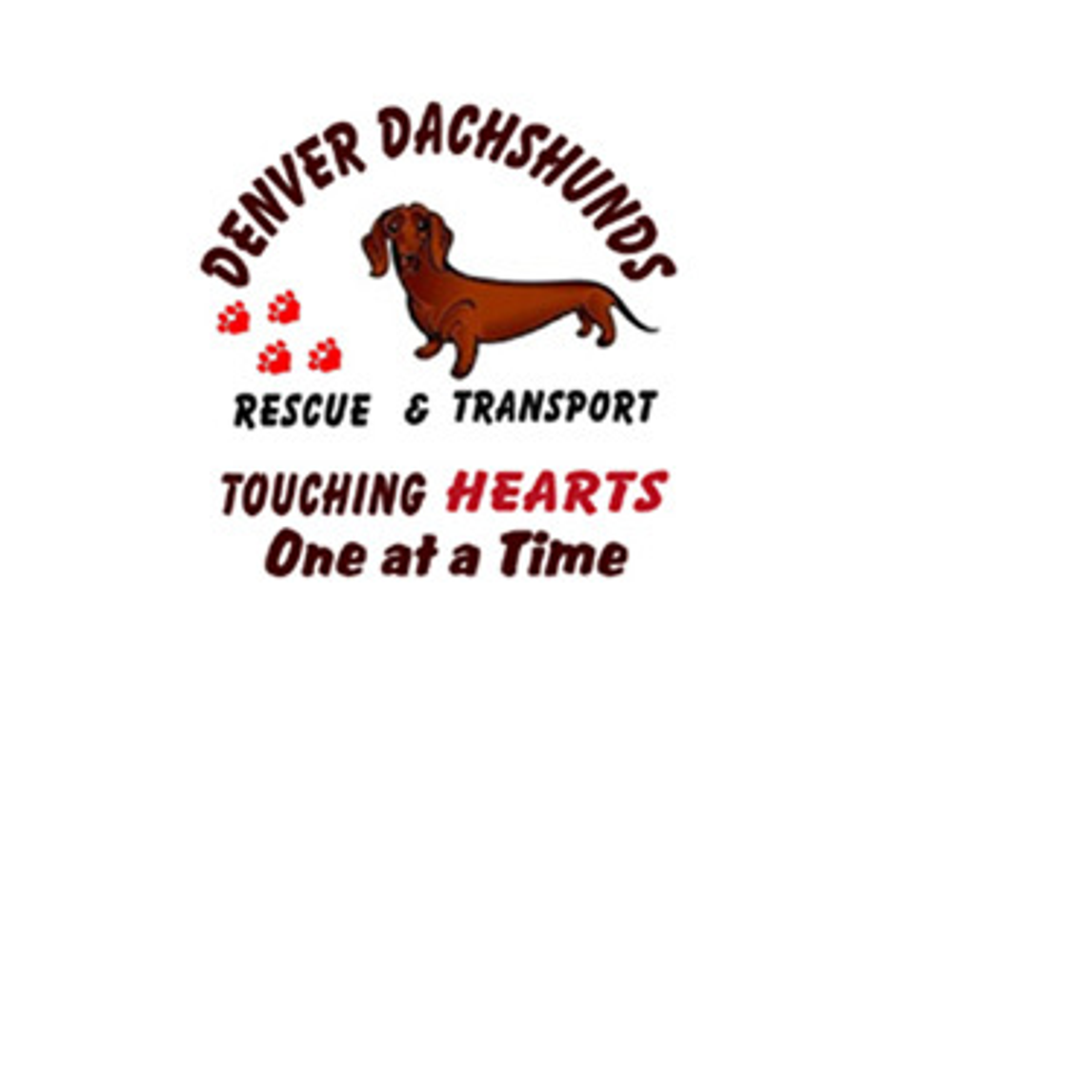 Denver Dachshunds Rescue and Transport