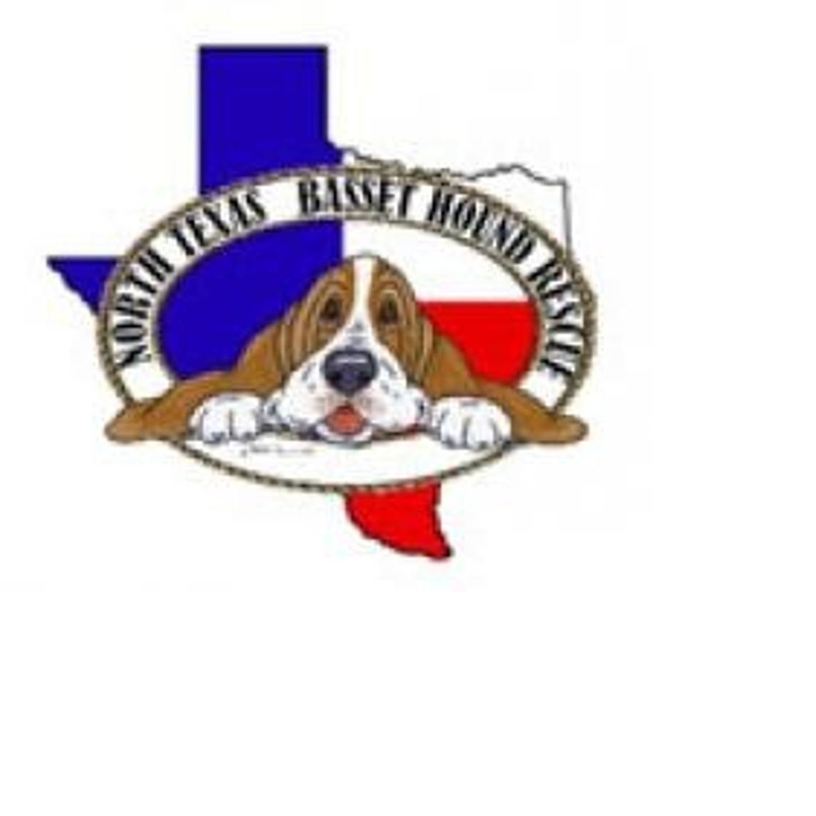 Basset hound rescue store dfw